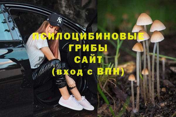 соль ск Беломорск